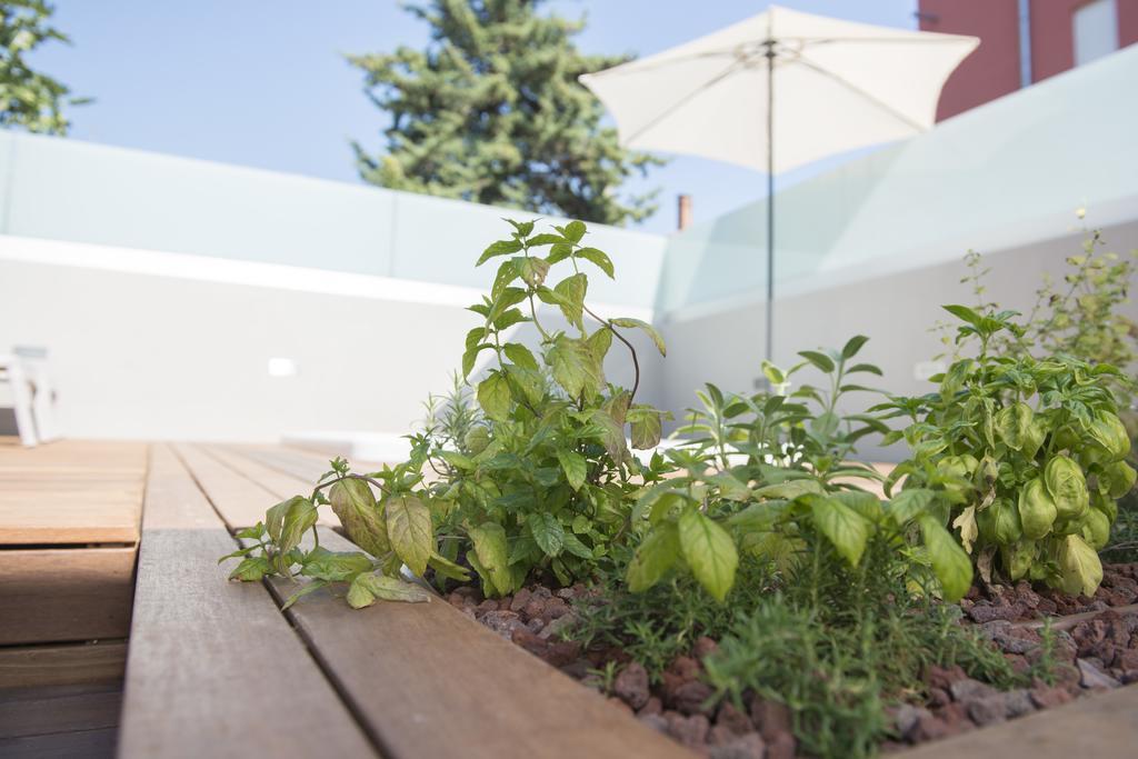 Villa Danex Premium Umag Exteriör bild